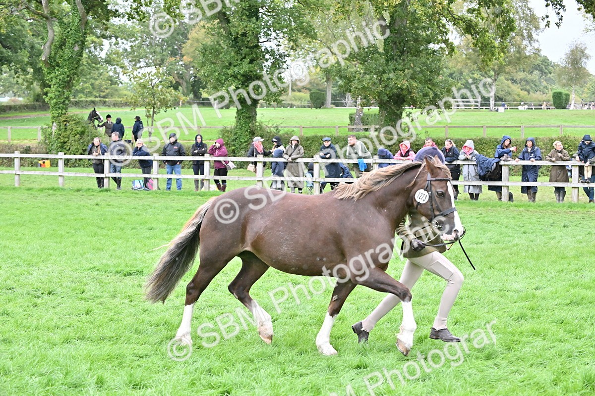 SBM_68588 - S42 - Junior Handler 9-12 Years