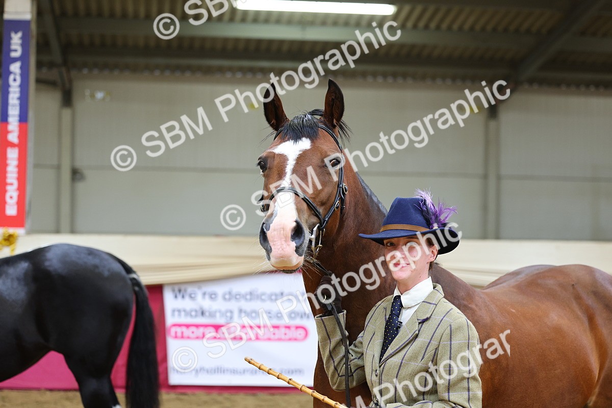 SBM_22865 - Class 903 - Supreme Final - IH Pre Vet