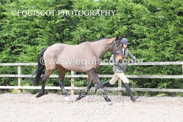 BPP_7195 - RING 1  (RIDDEN HORSES / IN HAND / VETERAN ETC)