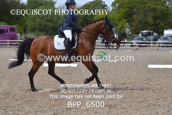 BPP_6500 - 24 L HAMILTON