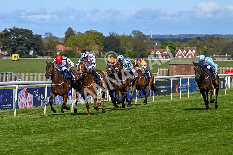 250424-Race 4-Classy Boy-1294 - Race 4