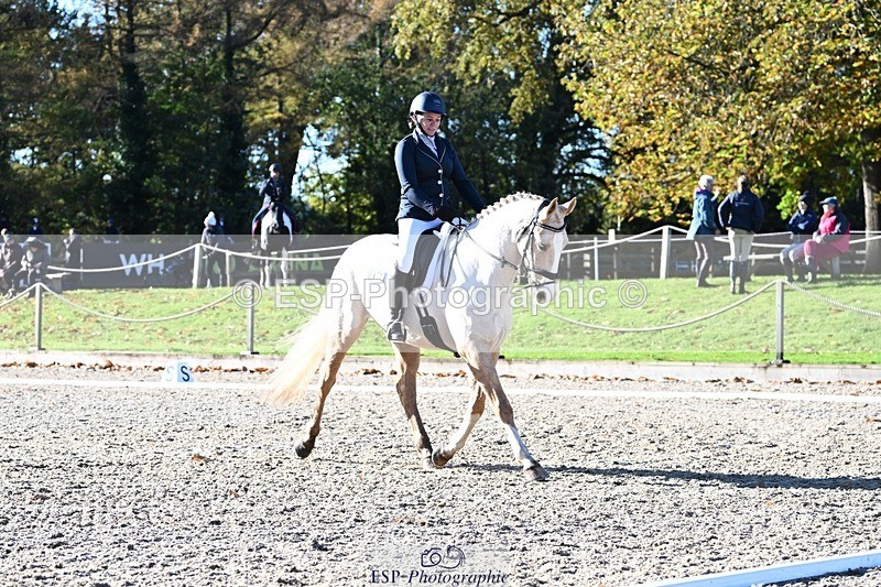 231110-111242-00346 - Cls 2 Prelim 17(a)Q