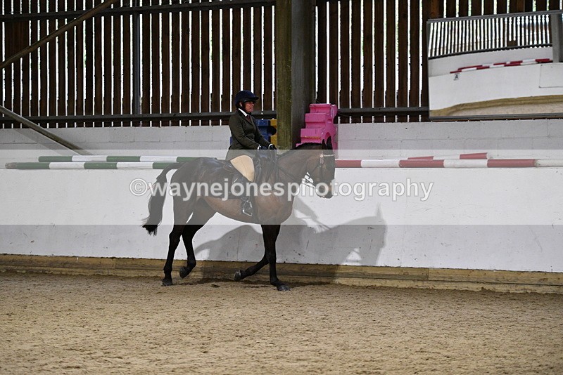 WJ5_8821 - Class 15 Ridden Show Horse