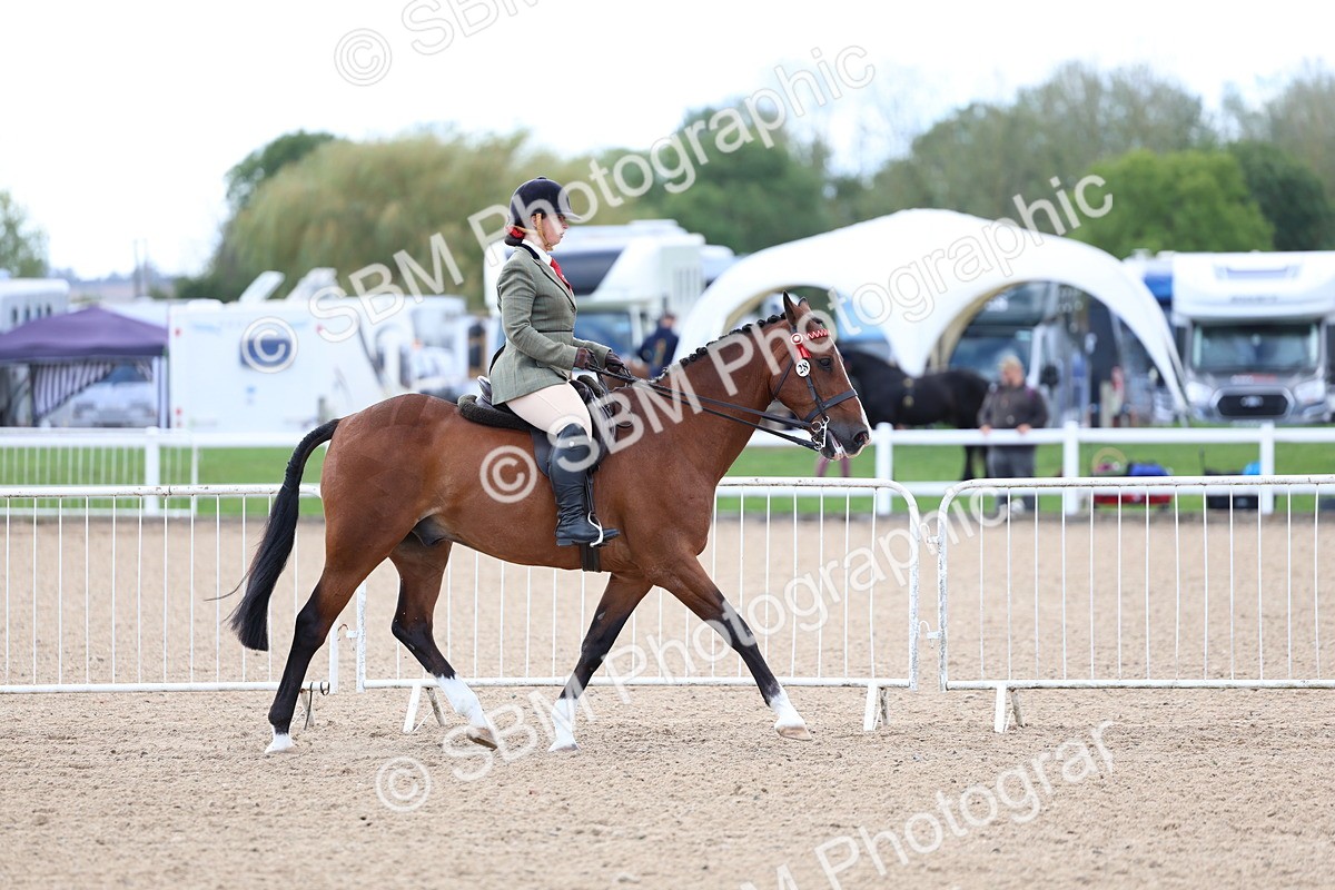SBM_10100 - Class 304 - Ridden Part Bred Horse Pony