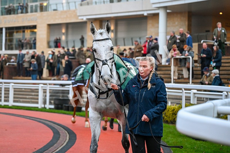 131224-Race 7-An Tailliur-0088 - Race 7