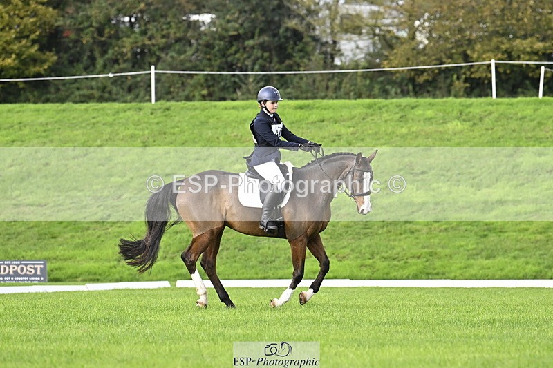 251023A-103722-02881 - F-406-Georgie.Down