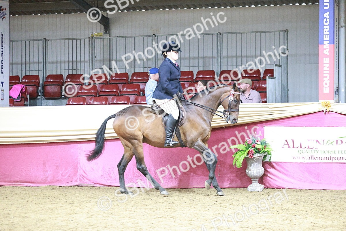 SBM_08027 - Class 11R - Regional Ridden Veteran