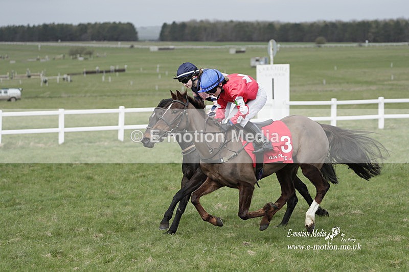PtP 260323 1031 - New Forest Hounds Point-to-Point Larkhill 26/03/23