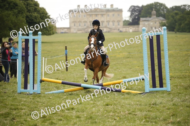20250517-0767 - Class 2 - 30cm Off Lead Rein