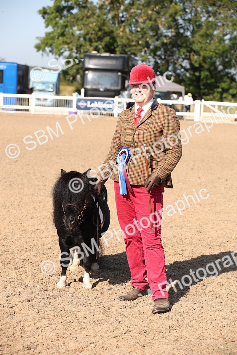 SBM_01563 - Class 15 IH Coloured