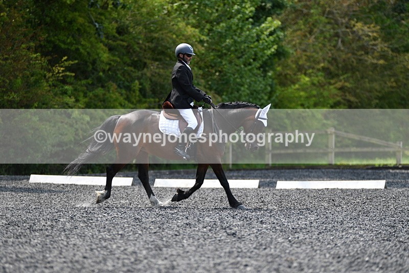 WJ5_9776 - Time 10:51 to 11:44