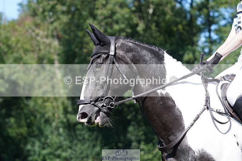 240811A-141704-04244 - 256-