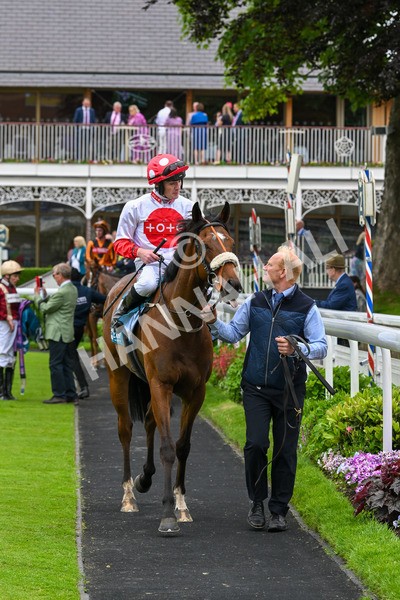 250524-Race 7-Feel The Need-4442 - Race 7 5.05pm Alf Duffield Memorial Handicap