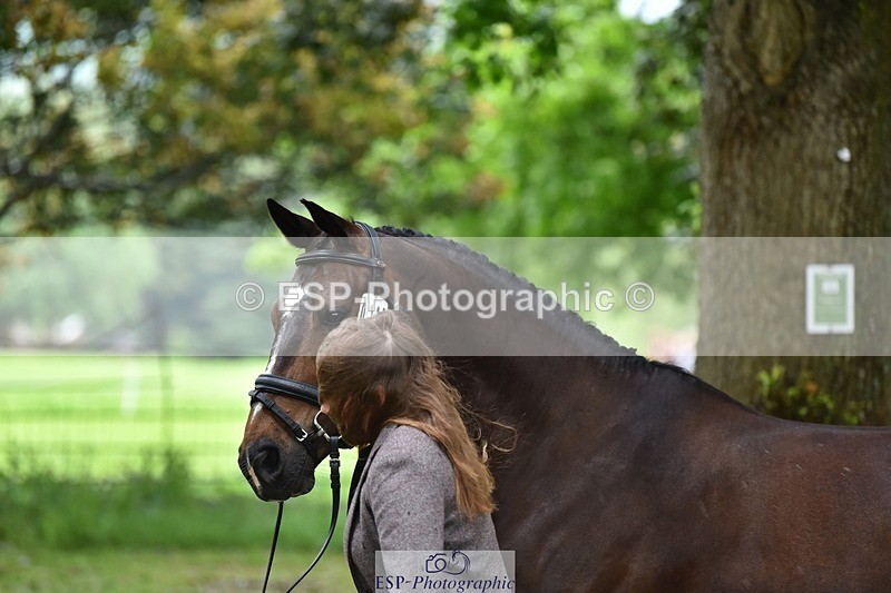 240522-160020-00637 - 113-MONANORE_GOLD-Jemima_Hughes