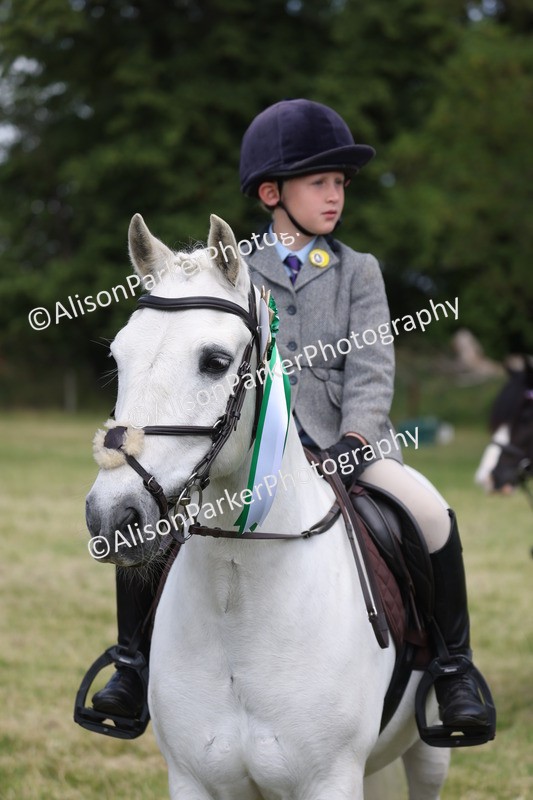 20260614-0828 - Class 20 - Beginners Working Hunter Pony