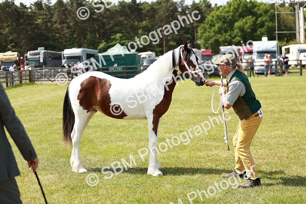 SBM_04179 - Class 39-40 - BSPA Coloured In Hand
