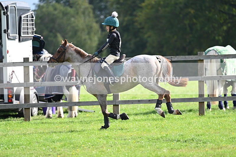 WJ7_5002 - 60cm Time 11:11 to 11:19