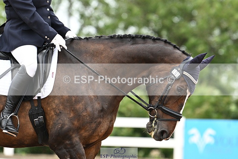 240815A-132738-01523 - 205-Donna.Boyd-Vagebond.vd.Withoeve.Z