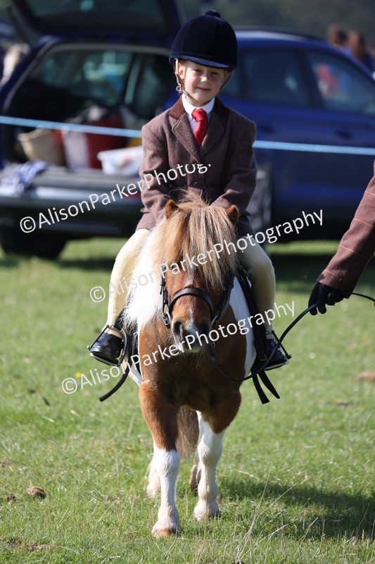 20250427-0108 - Class 30 - Tiny Tots Lead Rein
