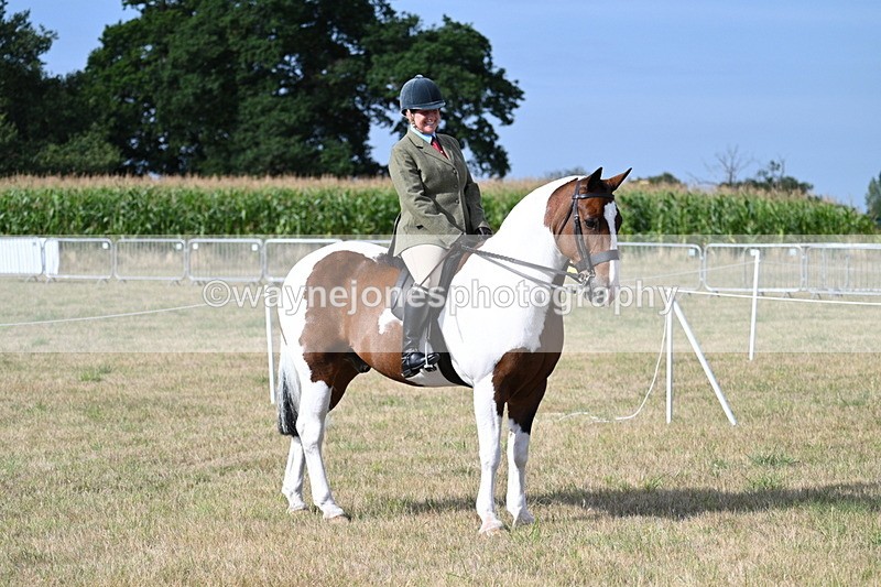 WJ7_2608 - Class 8 Ridden Tack & Turnout