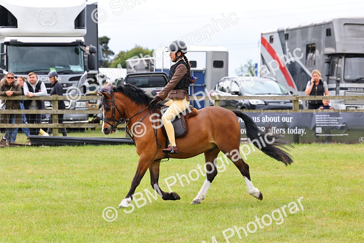 SBM_08610 - Class 42-43 - LIHS BSPS Heritage Working Sports Pony
