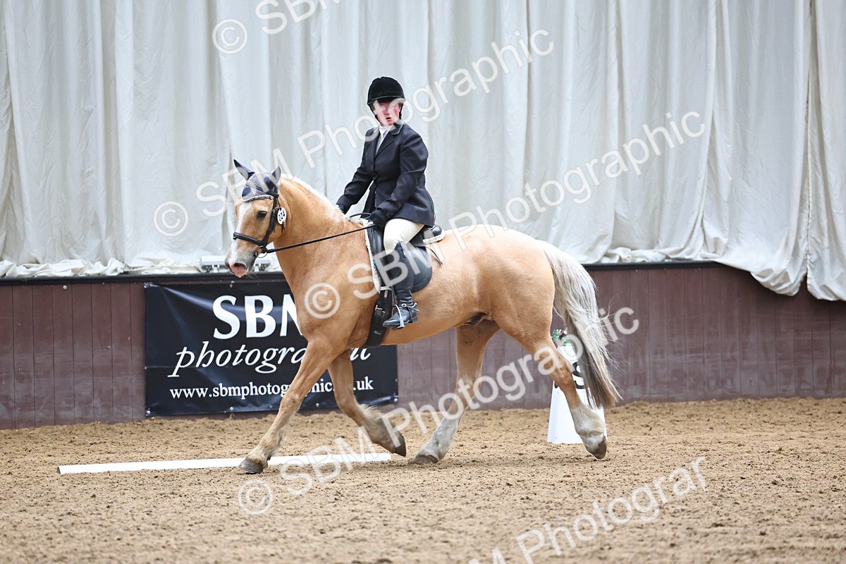 SBM_005392 - Class 3 - Novice 5