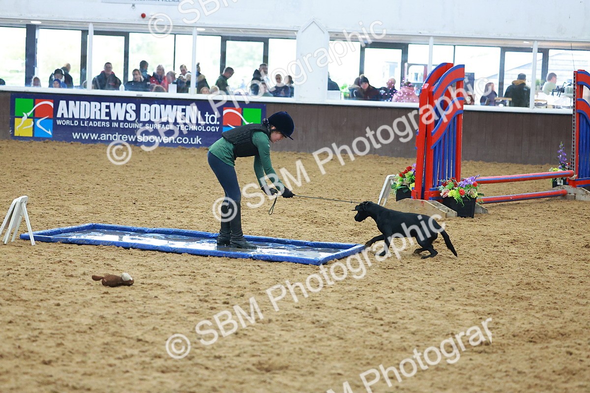 SBM_002425 - Class 3 - Horse & Hound (60cm)