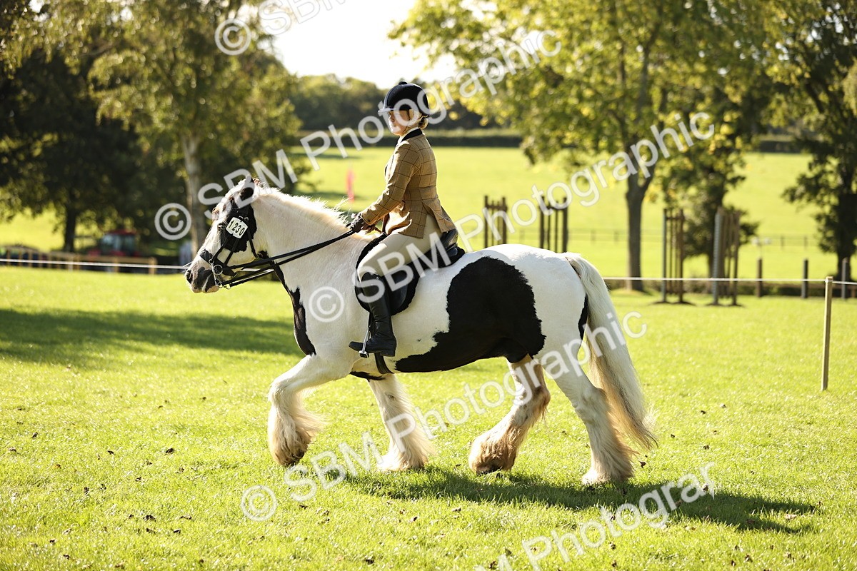 SBM_19103 - S3 - TSR Ridden Pony Showing