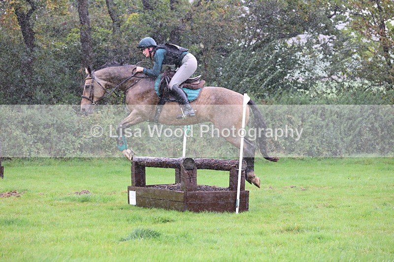 JPP_5425 - Class 4: 80cm: Crossed Logs