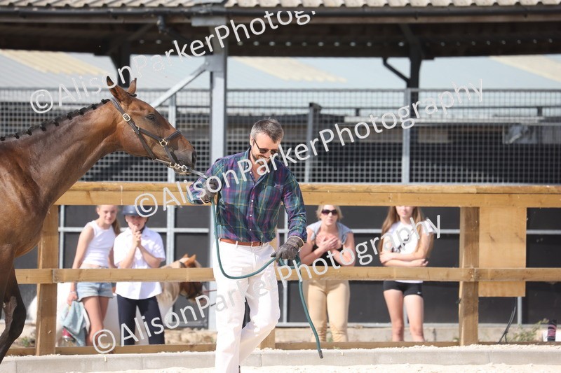 20260802-0898 - Class 9 - Youngstock