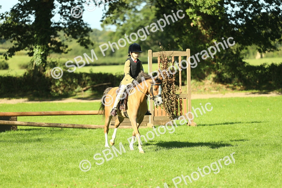 SBM_37423 - S29 - Novice & Newcomers Working Hunter Pony