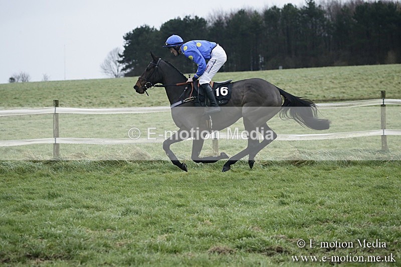 PtP 031217 748 - Hursley Hambledon Point-to-Point Larkhill 03/12/17
