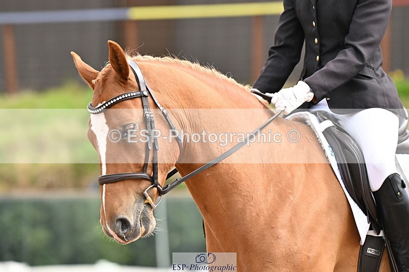 240817A-112337-07374 - 125-Tamsin.OConnor-Riversides.Caballero