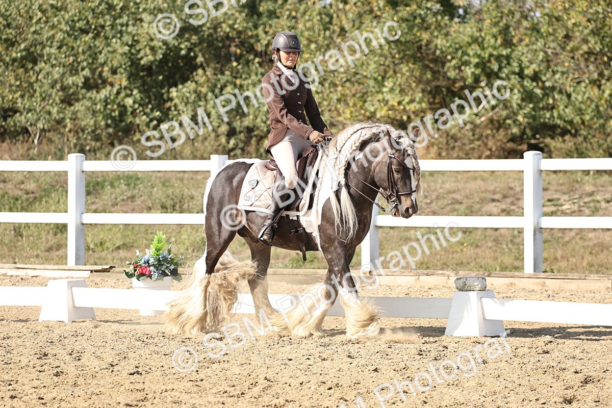 SBM_015281 - Class 9 - Advanced medium 3