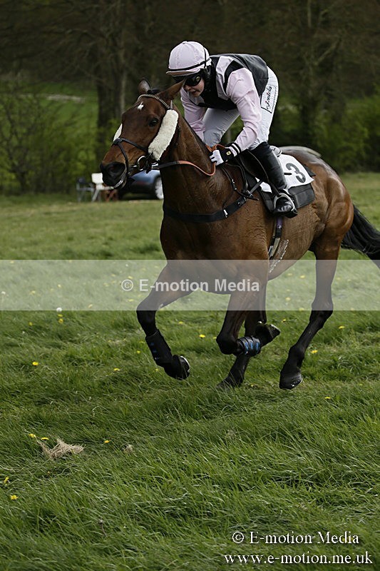 PtP 170417 184 - Old Berks Point-to-Point Lockinge 17/04/17
