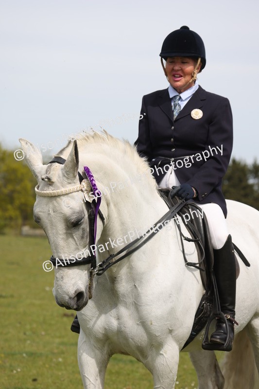 20260426-4441 - Class 34 - Best Riding Horse Over 14.2hh