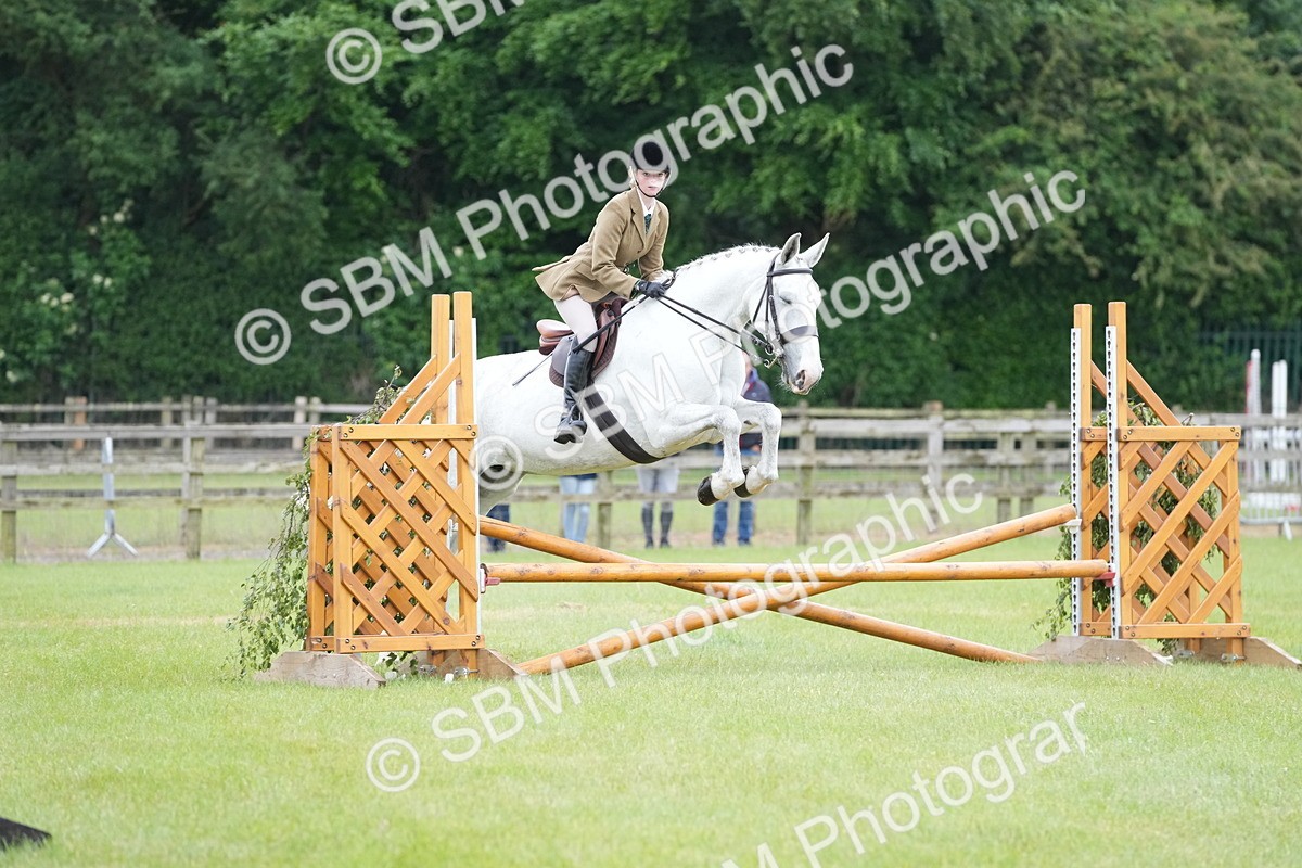 SBM_12519 - Class 97-98 - LIHS BSHA Rising Star Working Show Horse Hunter