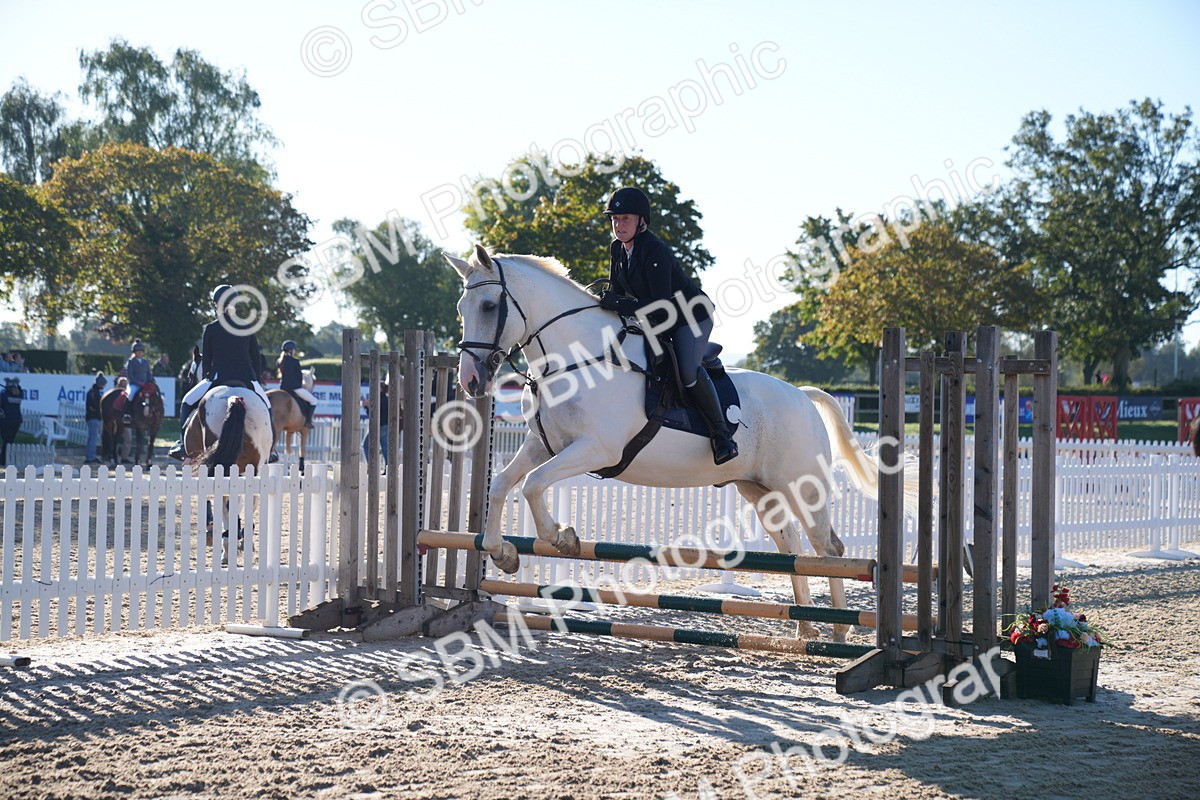 SBM_14098 - J59 - Clear Round - 65cm