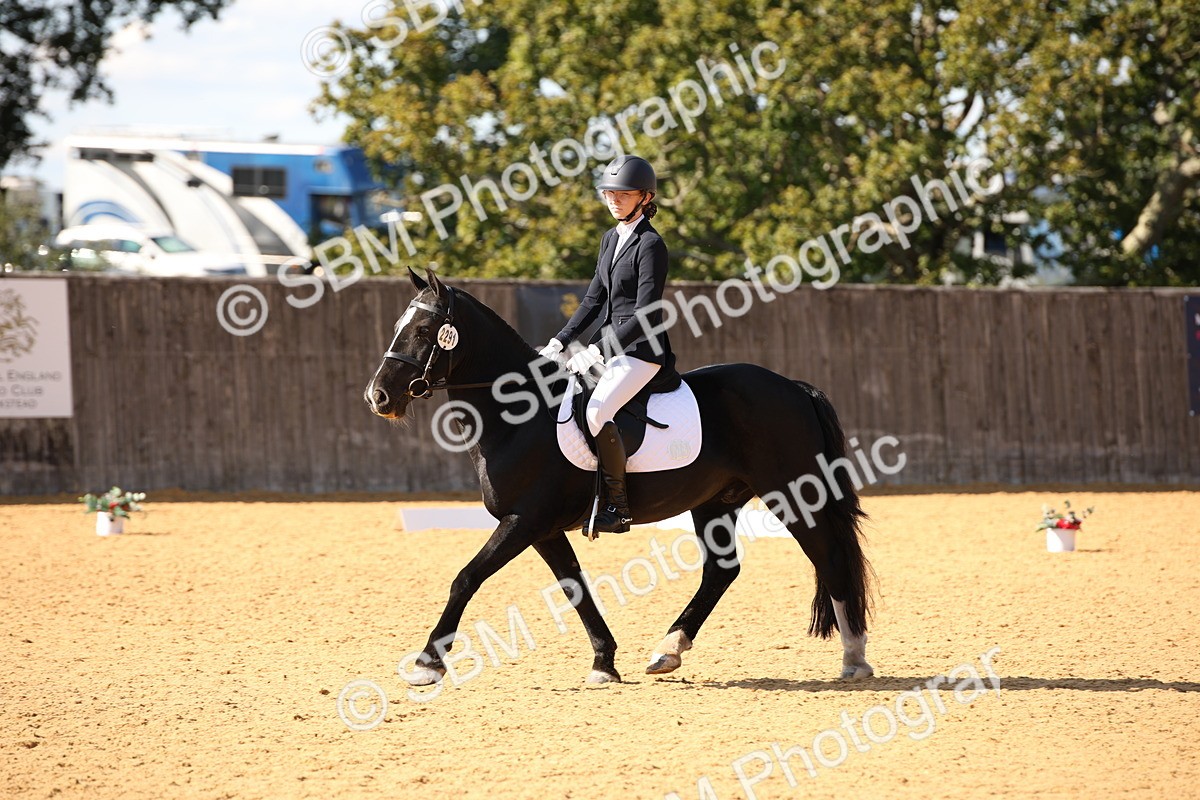 SBM_24297 - D5 - Small Tour Championship - Intro C