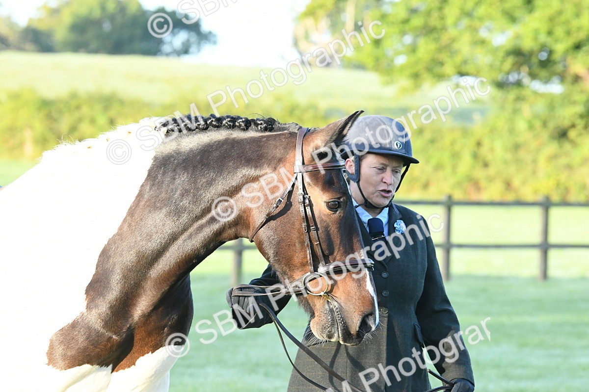 SBM_32477 - S15 - Condition & Turnout In Hand