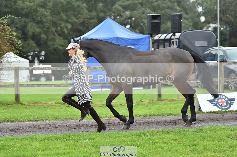 231018-124352-00479 - 073-ORNETA-Lisa.Maynard-TrotUp