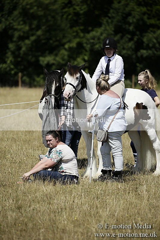 LP220718-15 - Roving Camera BVRC Show 2018