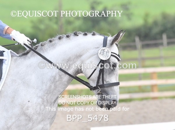 BPP_5478 - INTRO TEST 3