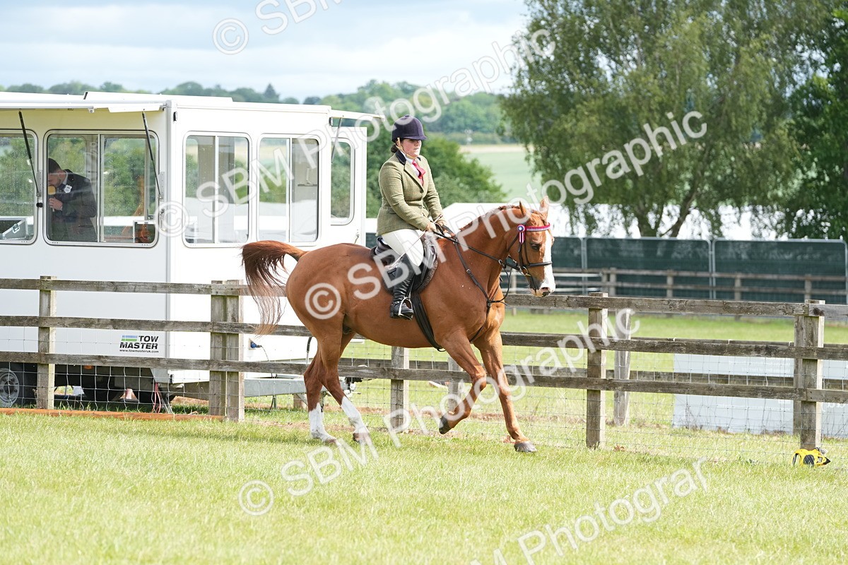 SBM_12923 - Class 99 - RIHS SEIB Working Show Horse