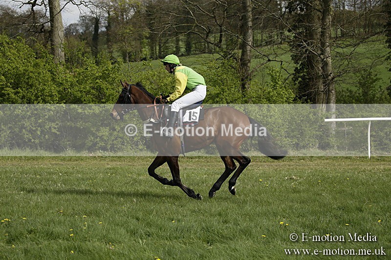 PtP 170417 251 - Old Berks Point-to-Point Lockinge 17/04/17
