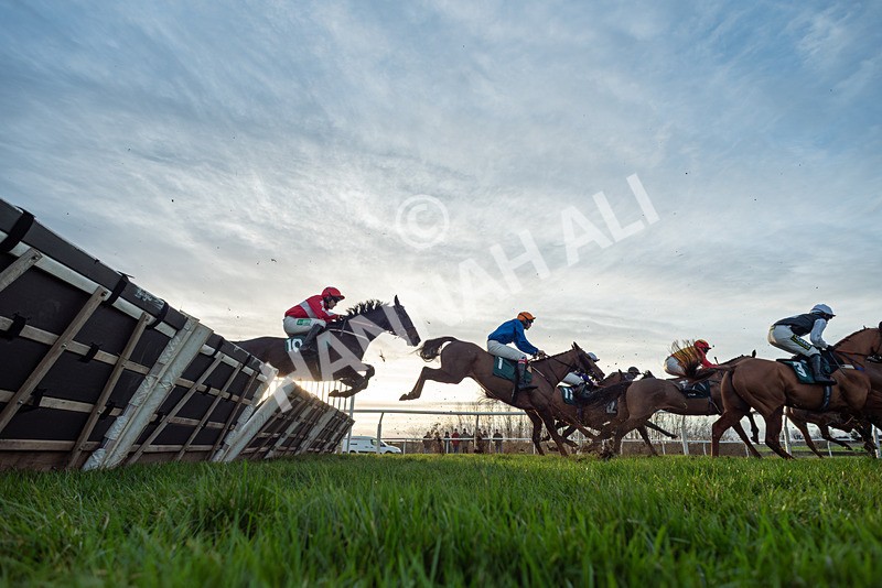 010126-Race 5-East Eagle-8648 - Race 5