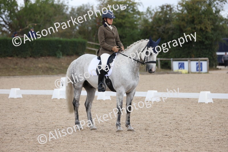 20250820-0787 - Class 15 - Novice 4