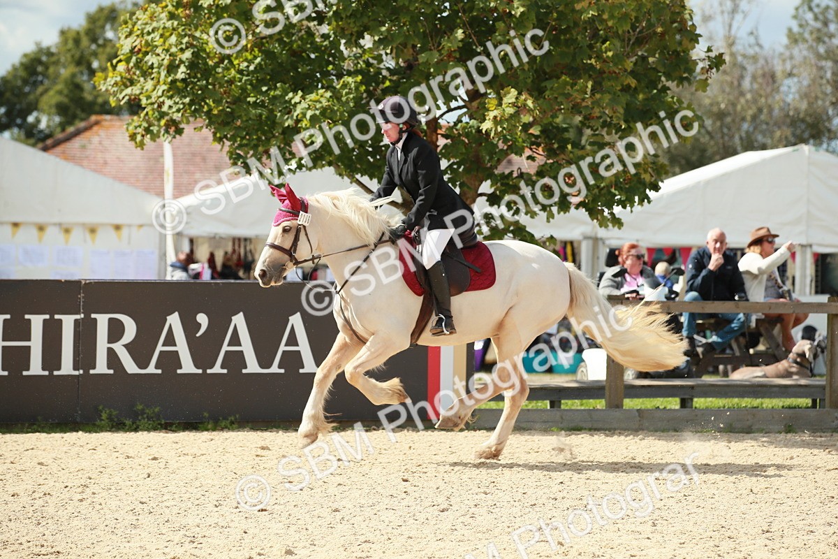 SBM_06328 - J29 Senior 65cm Championship