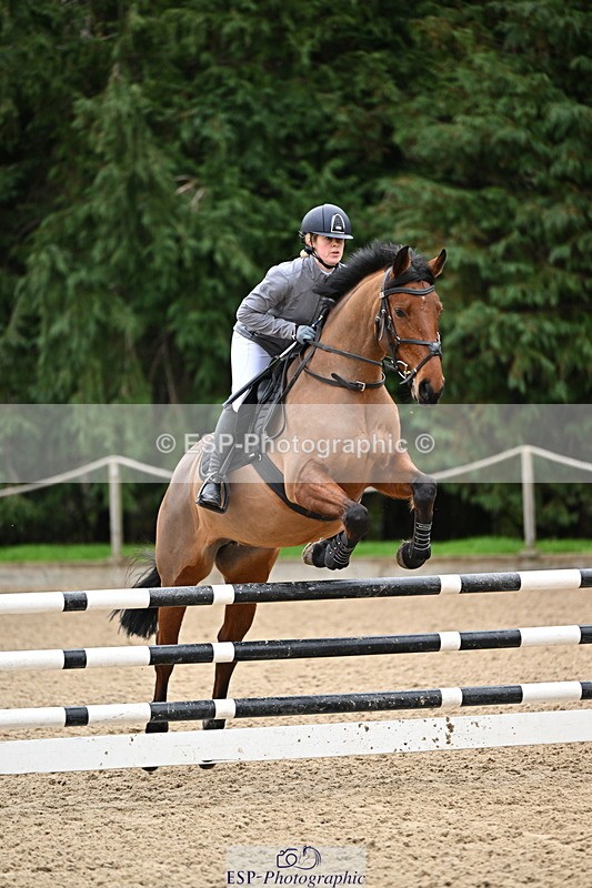 250201A-110601-00328 - Cls 02 Local Horse 100cm