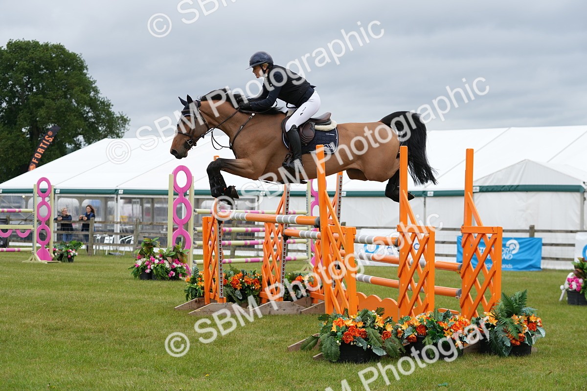 SBM_03385 - Class 201 - British Horse Feeds Speedi Beet Horse of the Year Show Grade  C